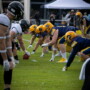 Mitreißendes Offensivspektakel in Elmshorn – Fighting Pirates unterliegen Longhorns mit 36:42